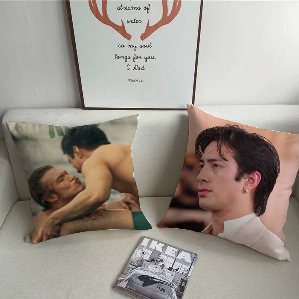 1PC Populaire TV Verwarmde Riv - Pillow Cover Sublimation recensie en prijs